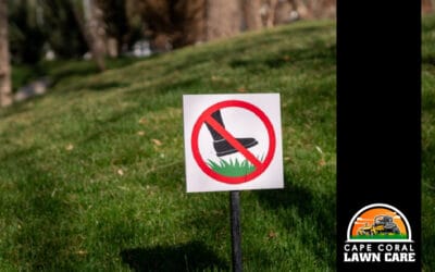 How Foot Traffic Damages Your Florida Lawn (And How to Help It Recover)