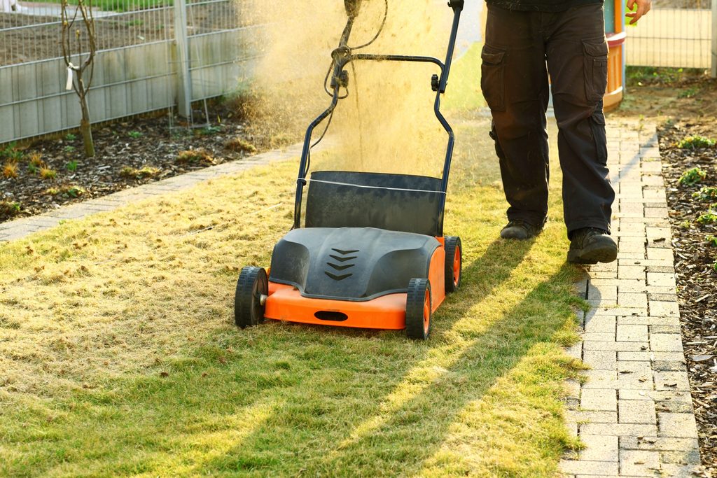 Cape Coral homeowner mowing a dry lawn at a height suited to the grass type.
